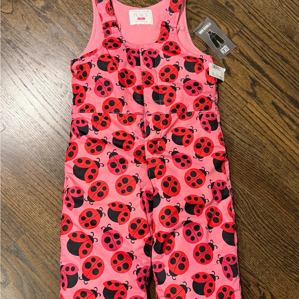 Pink Ladybug Print Snow Bib Size 3T